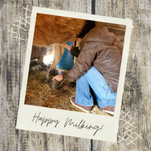 Milking my Jersey Cow for the first time!